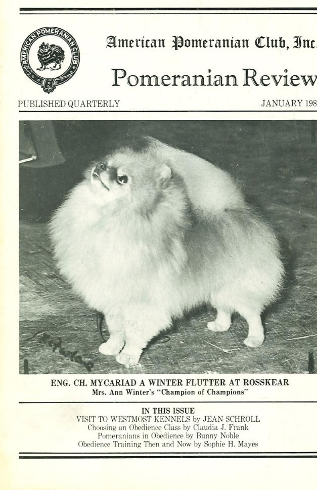 The Pomeranian Review January 1981 