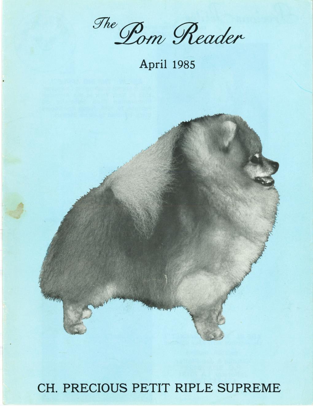 The Pom Reader April 1985 