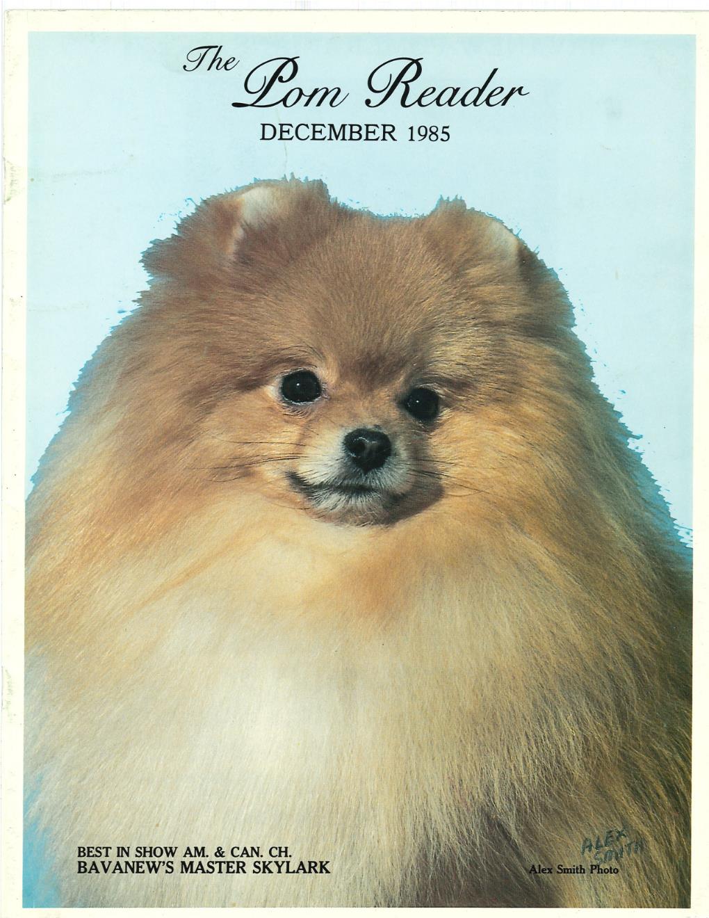 The Pom Reader December 1985 