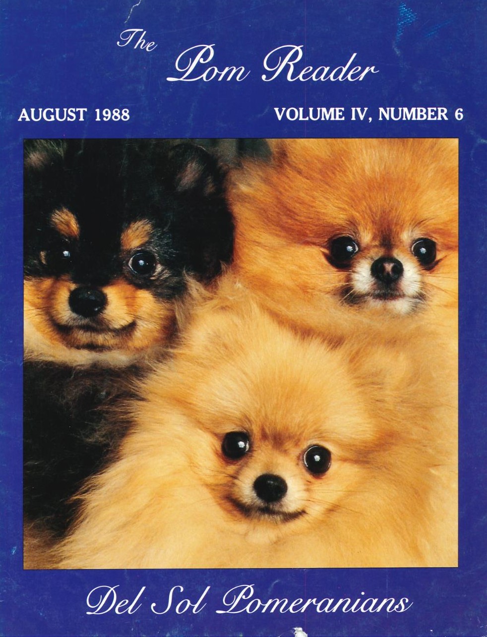 The Pom Reader August 1988 