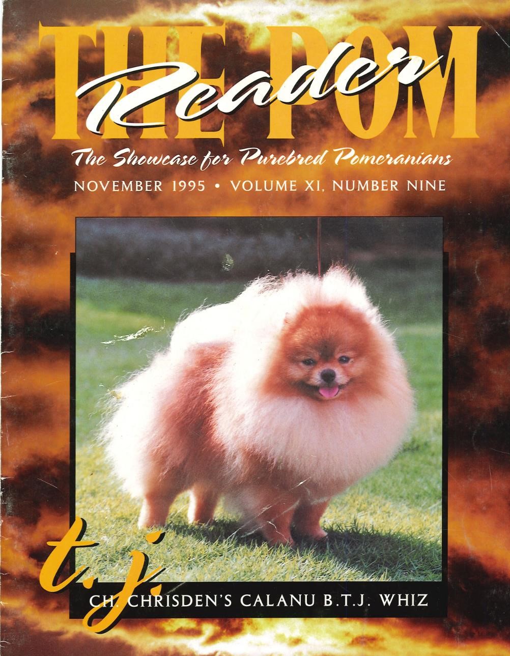 The Pom Reader November 1995 