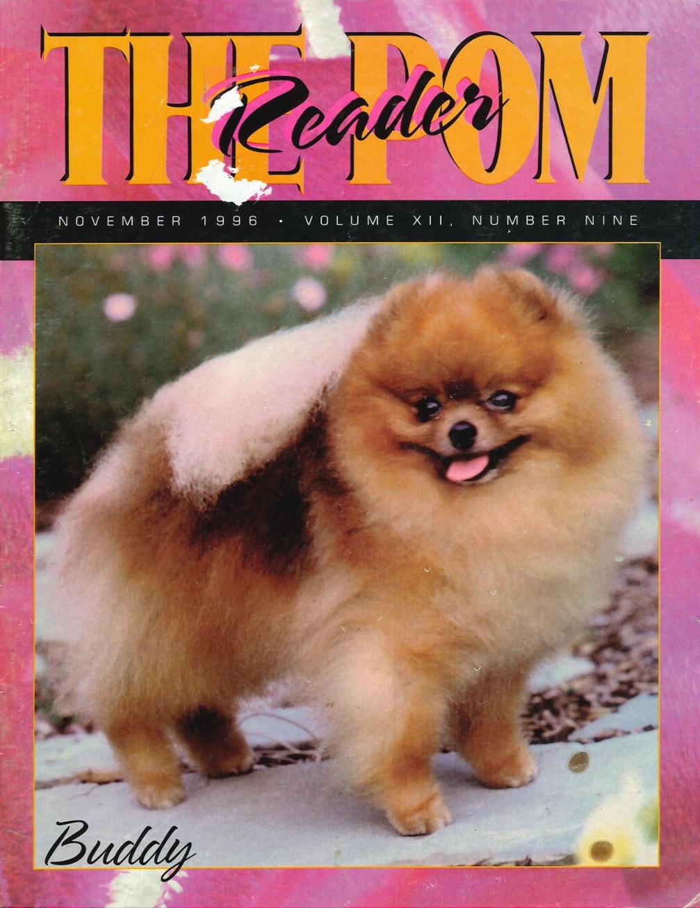 The Pom Reader November 1996 