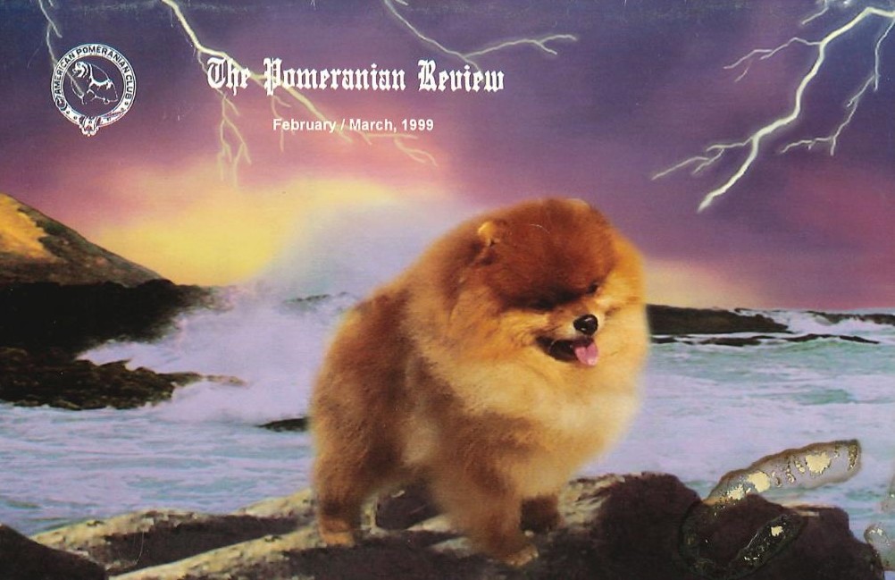 The Pomeranian Review February 1999 