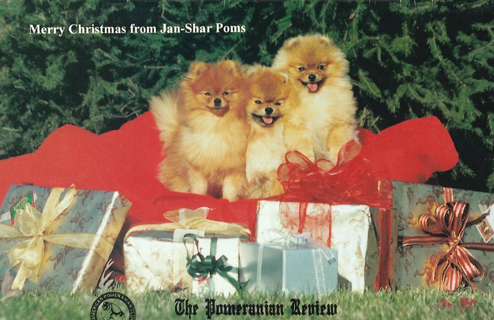 The Pomeranian Review January 2000 