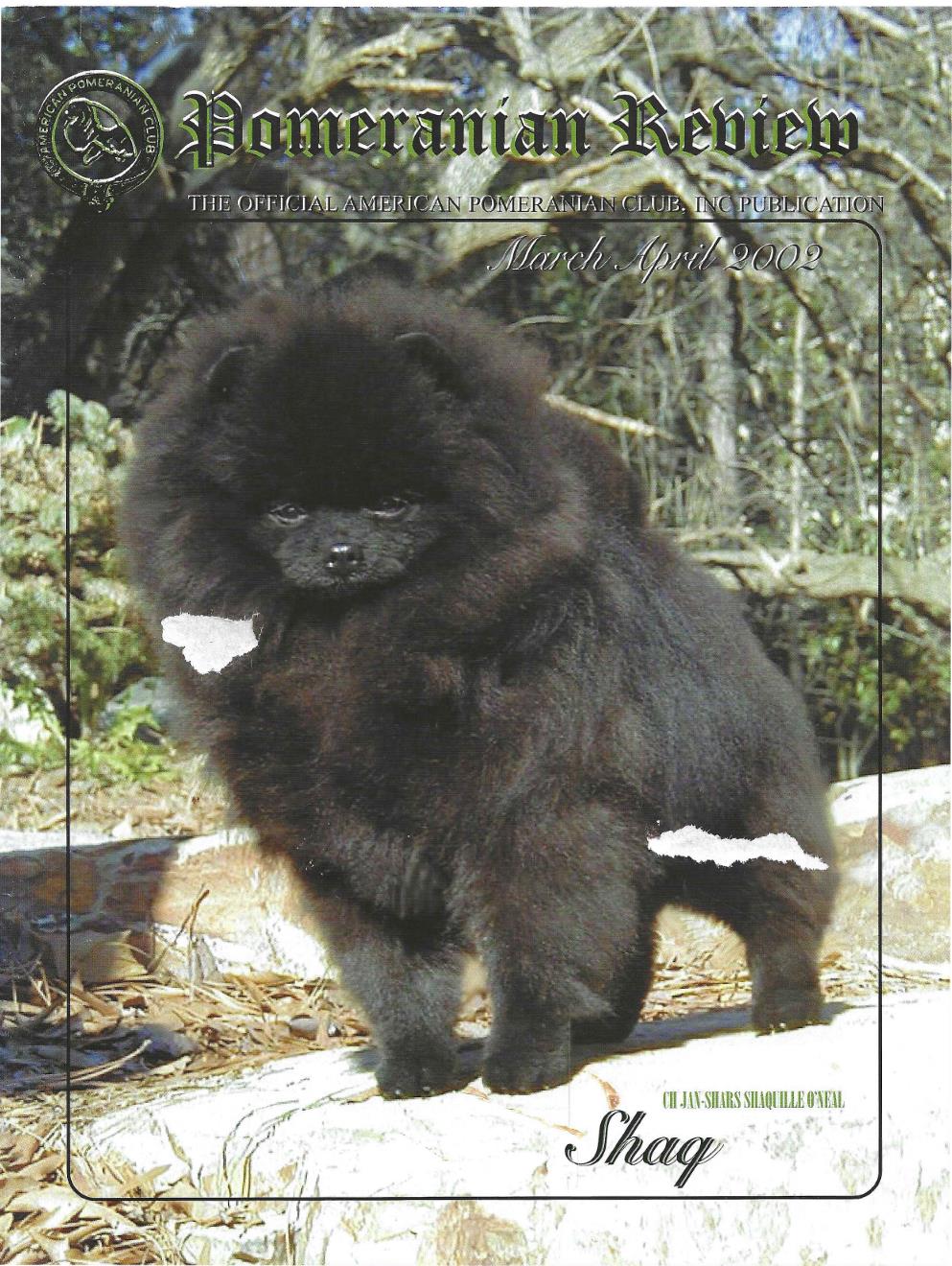 The Pomeranian Review March 2001 