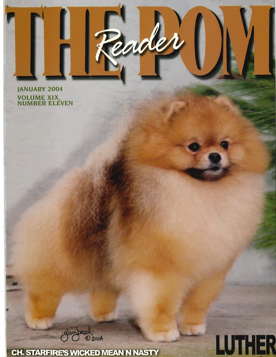 The Pom Reader January 2004 