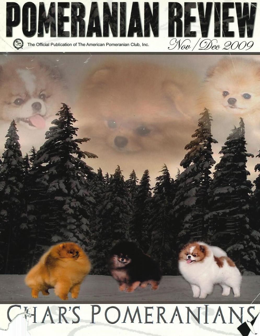 The Pomeranian Review November 2009 